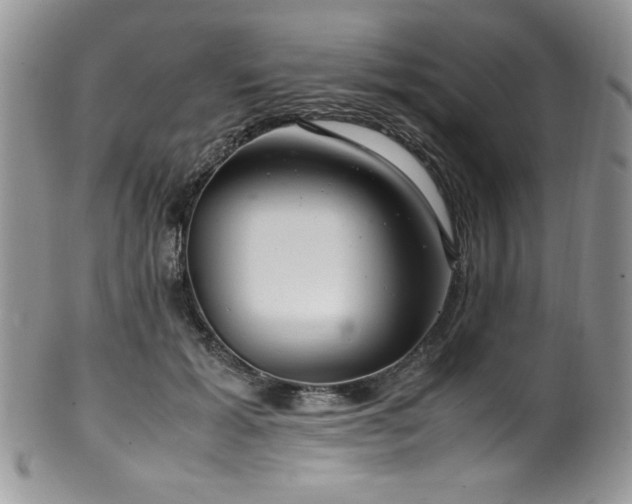 X0000100340605200806051540