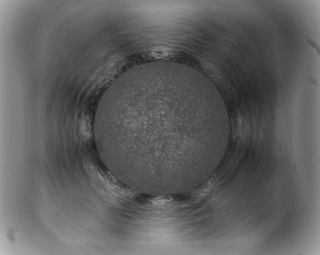 X0000100340606200806051540