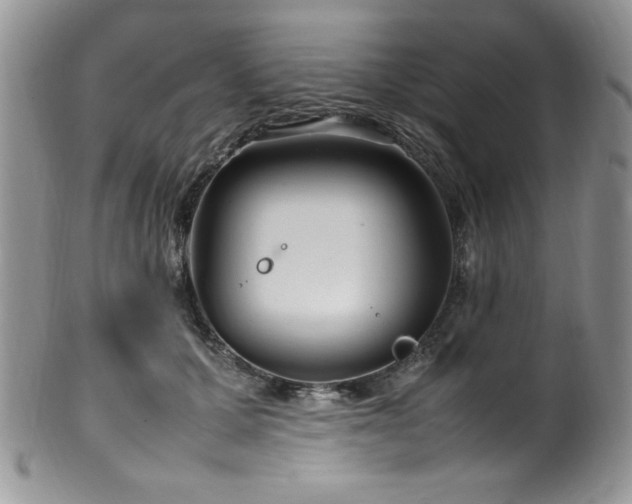 X0000100340607200806051540