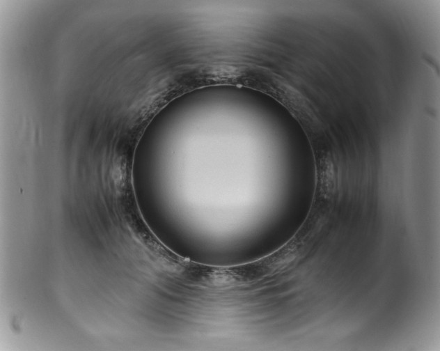 X0000100340608200806051540