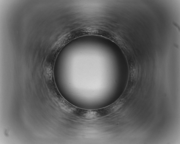 X0000100340609200806051540