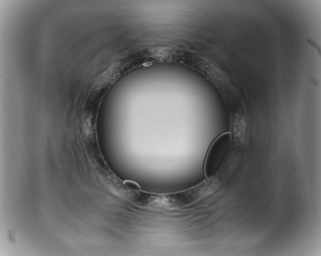 X0000100340611200806051540