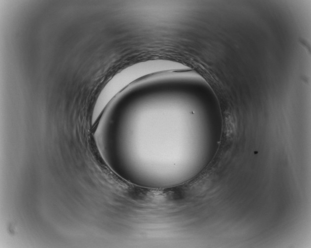 X0000100340613200806051540