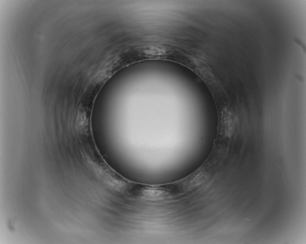 X0000100340614200806051540