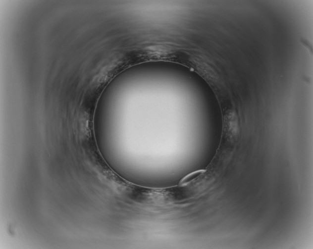 X0000100340615200806051540