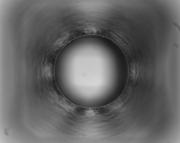 X0000100340616200806051540