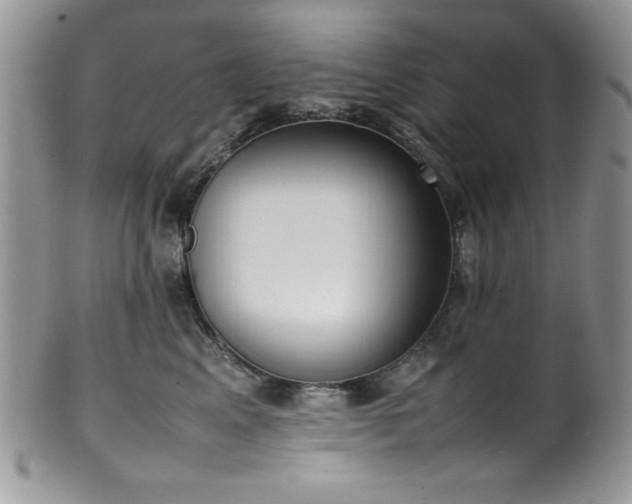 X0000100340617200806051539