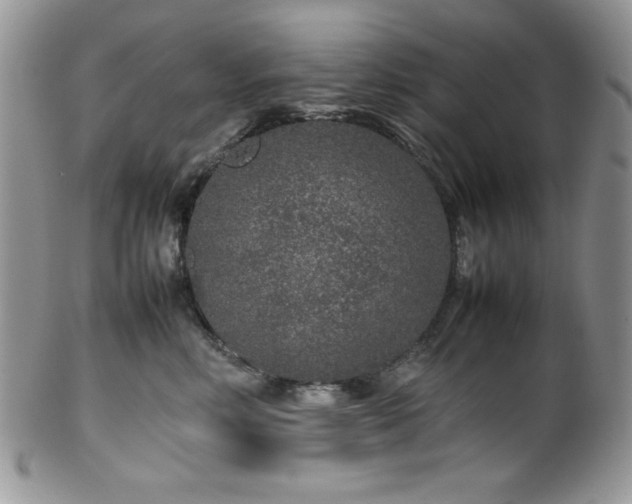 X0000100340618200806051539