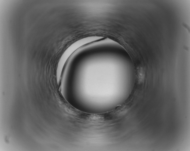 X0000100340619200806051539