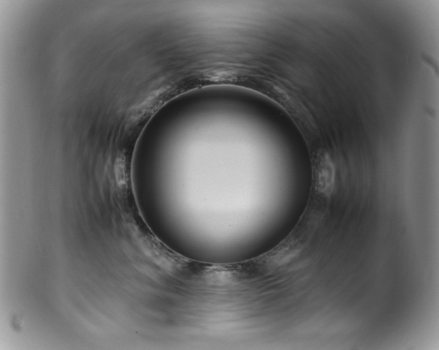 X0000100340620200806051539