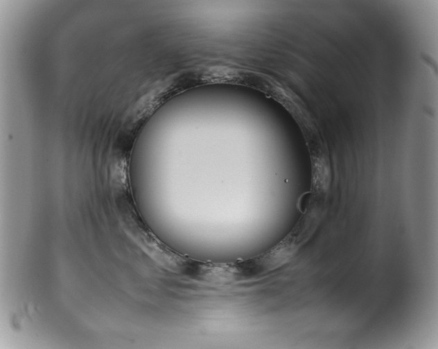 X0000100340621200806051539