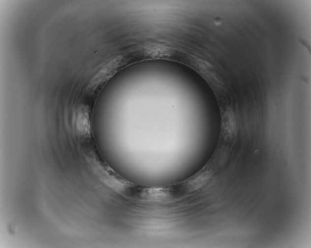 X0000100340622200806051539