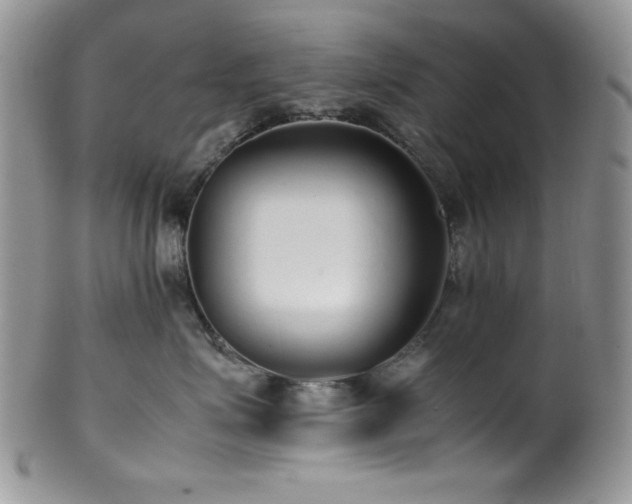 X0000100340623200806051539