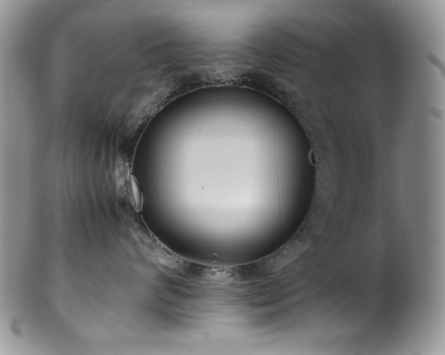X0000100340624200806051539