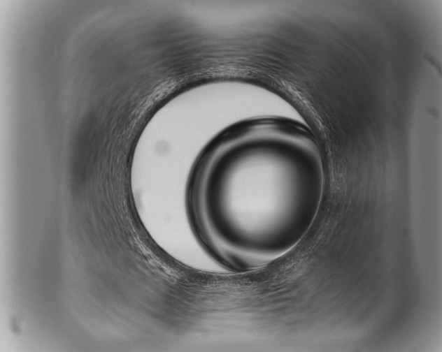 X0000100340625200806051538