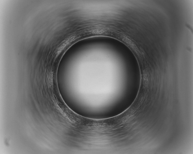 X0000100340626200806051538