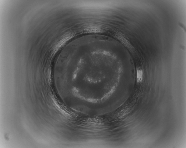 X0000100340627200806051539