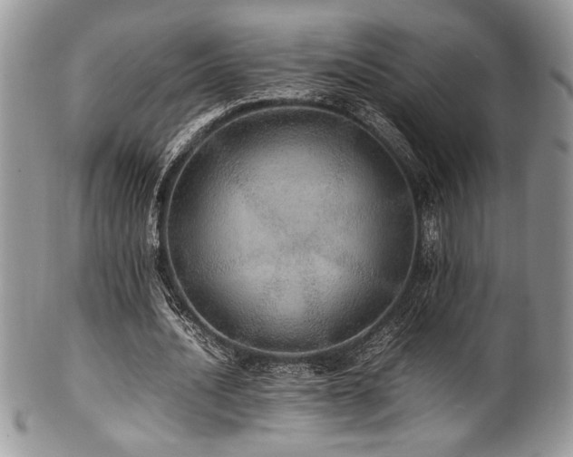 X0000100340628200806051539