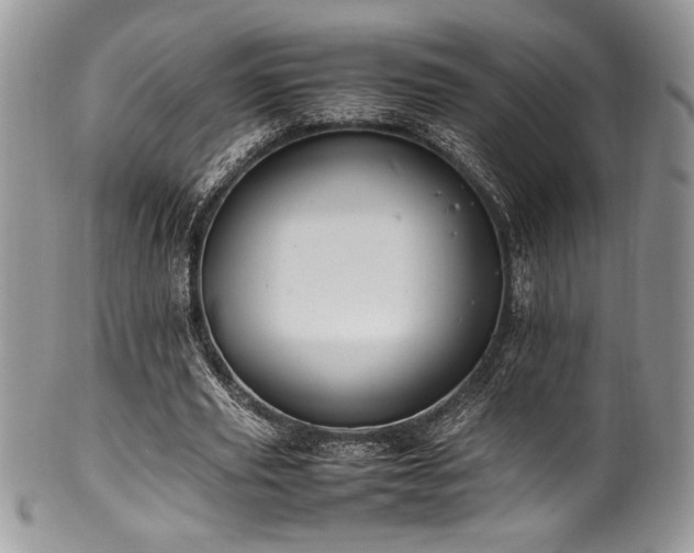 X0000100340629200806051539