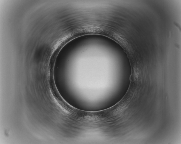 X0000100340630200806051539