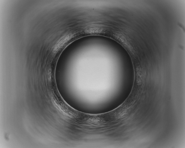 X0000100340631200806051539
