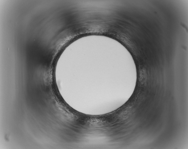 X0000100340632200806051539