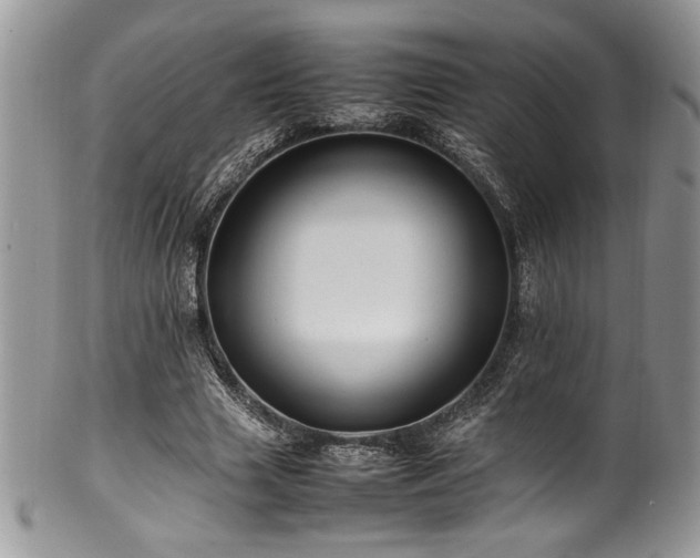 X0000100340633200806051539