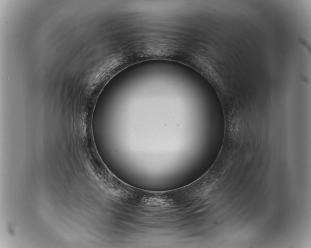 X0000100340635200806051539