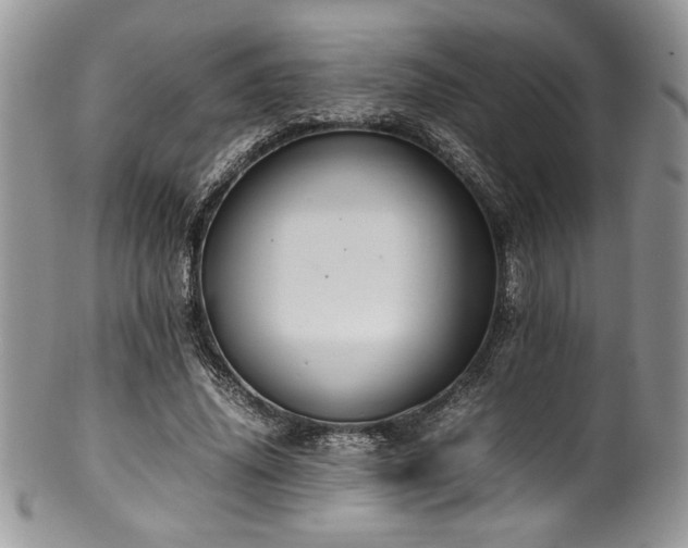 X0000100340636200806051539