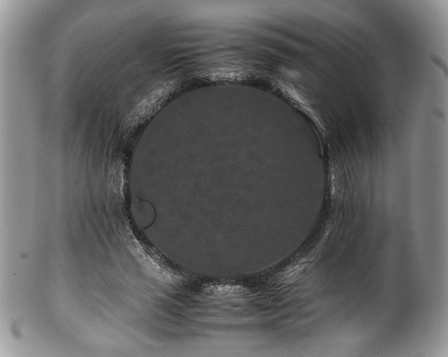 X0000100340637200806051539