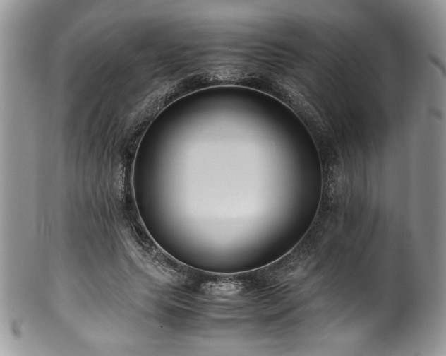X0000100340639200806051539