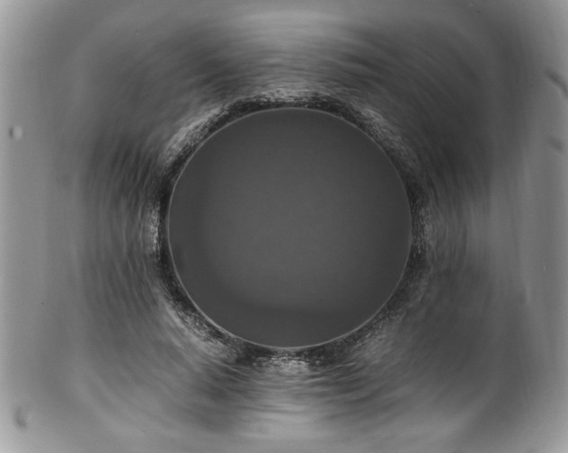 X0000100340640200806051539