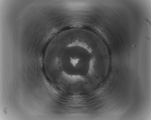X0000100340641200806051539
