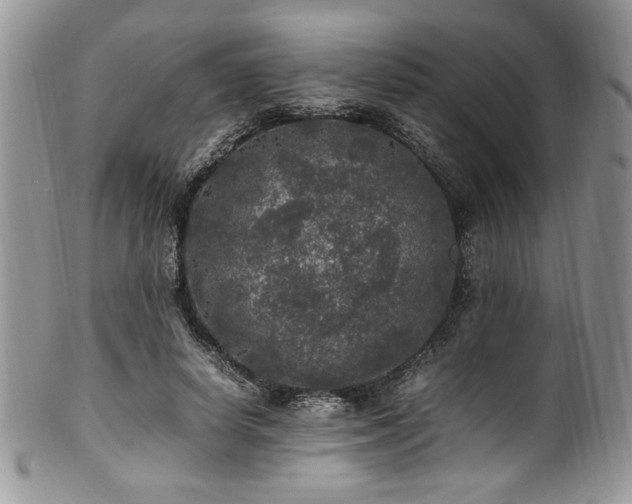 X0000100340642200806051539