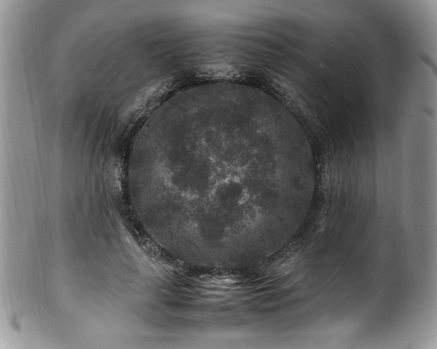 X0000100340643200806051539