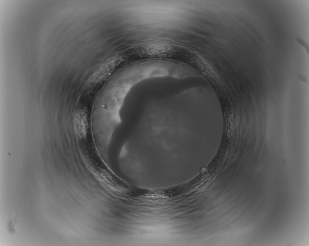X0000100340644200806051539