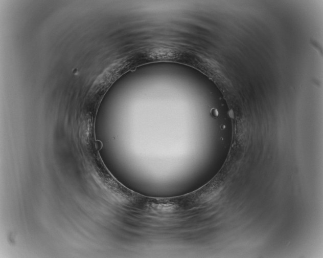 X0000100340645200806051539