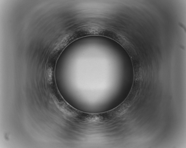 X0000100340646200806051539