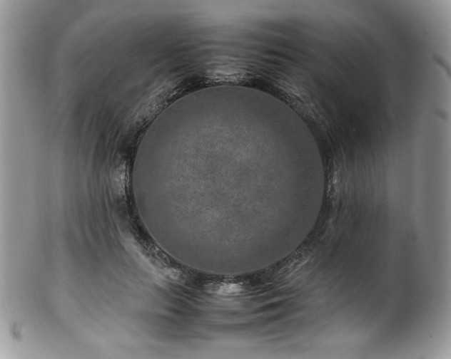X0000100340647200806051539