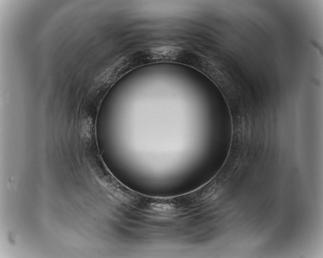 X0000100340649200806051539