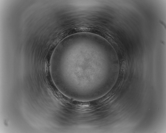 X0000100340651200806051539