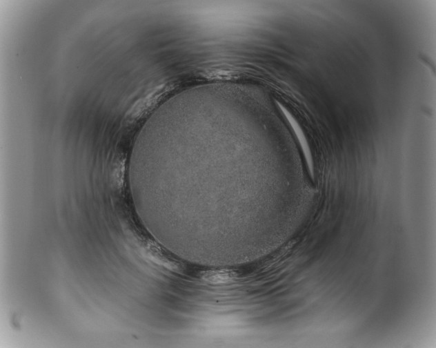 X0000100340652200806051539