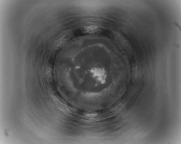 X0000100340653200806051539
