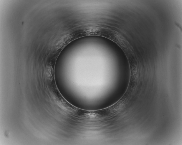 X0000100340654200806051539