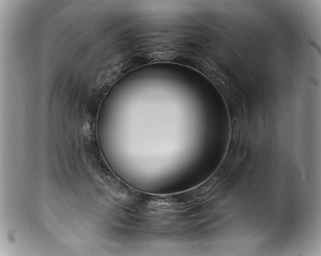 X0000100340655200806051539