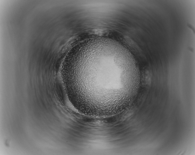 X0000100340656200806051539