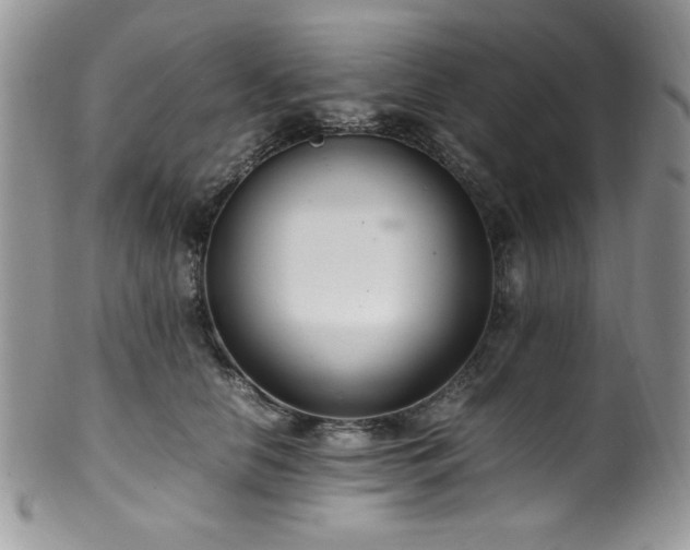 X0000100340658200806051539