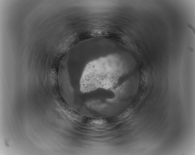 X0000100340659200806051539