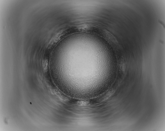 X0000100340660200806051539