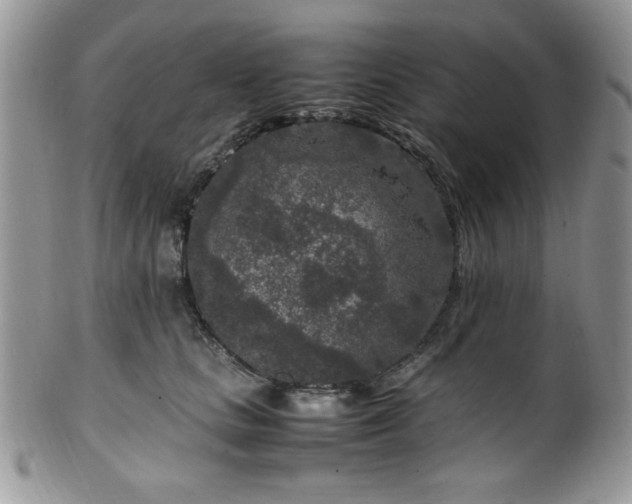 X0000100340661200806051539